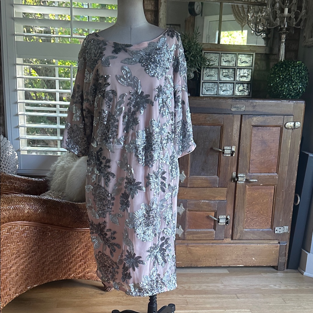 Joanna Hope United Kingdom Silver Blush Sequin Embellished Dress Plus 18 New